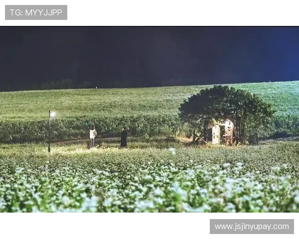 追剧不迷茫！2024年必看的韩剧宝藏清单，总有一部戳中你的心！